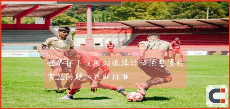 世界杯下注网站选择时必须警惕的常见问题和判断标准