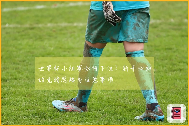 世界杯小组赛如何下注？新手必知的竞猜思路与注意事项
